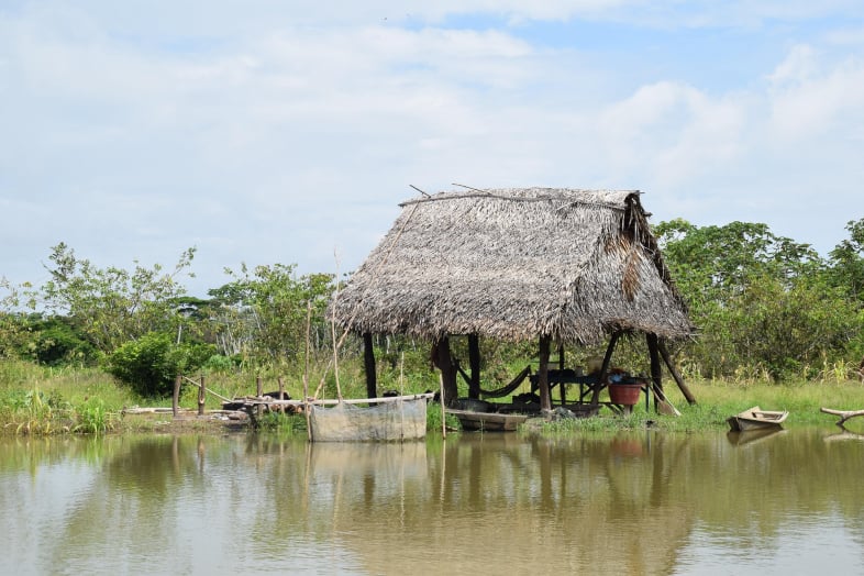 Indigenous villages in the Amazon